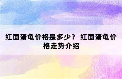 红面蛋龟价格是多少？ 红面蛋龟价格走势介绍